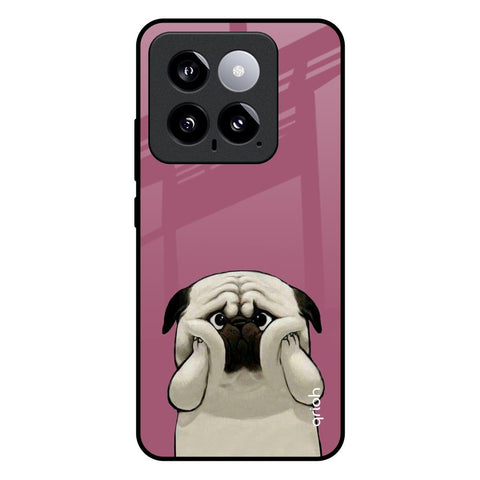 Funny Pug Face Mi 14 Glass Back Cover Online