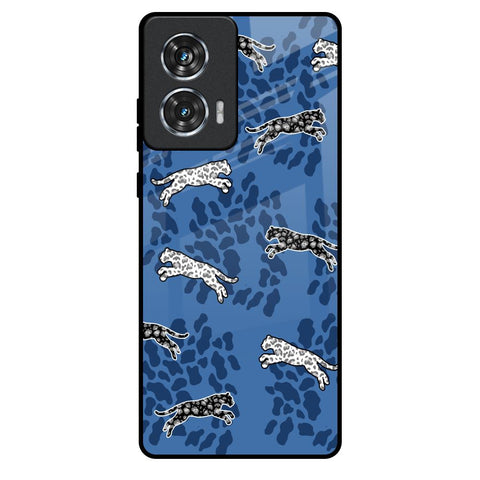 Blue Cheetah Motorola Edge 50 Fusion 5G Glass Back Cover Online