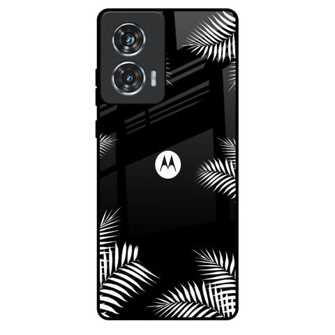 Zealand Fern Design Motorola Edge 50 Fusion 5G Glass Back Cover Online
