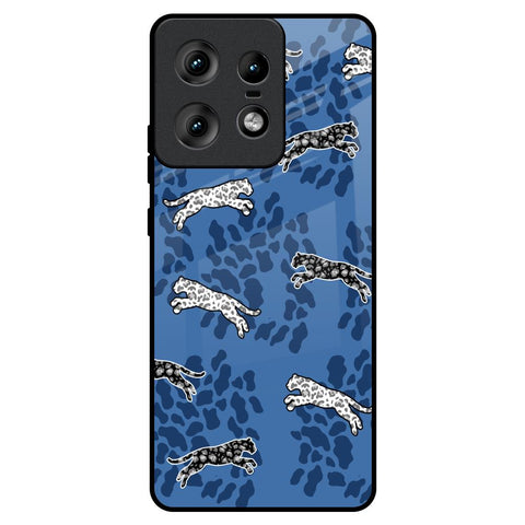 Blue Cheetah Motorola Edge 50 Pro 5G Glass Back Cover Online