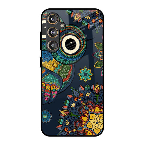 Owl Art Samsung Galaxy F55 5G Glass Back Cover Online