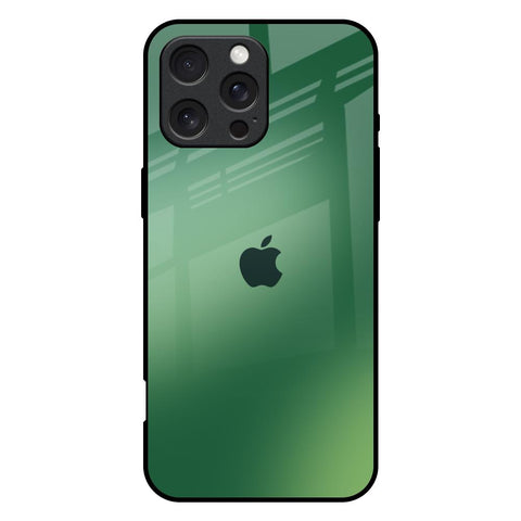 Green Grunge Texture iPhone 16 Pro Max Glass Back Cover Online
