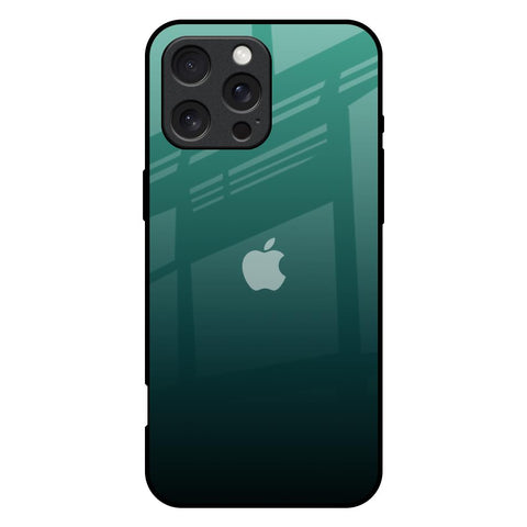 Palm Green iPhone 16 Pro Max Glass Back Cover Online