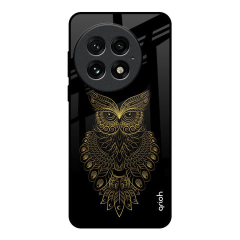 Golden Owl OnePlus 13 Glass Back Cover Online