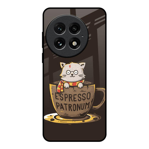 Tea With Kitty OnePlus 13 Glass Back Cover Online