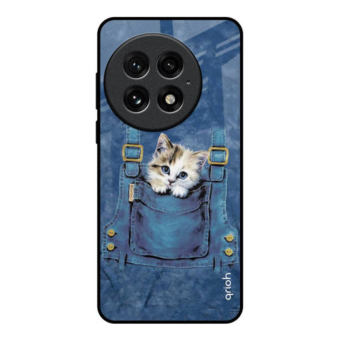 Kitty In Pocket OnePlus 13 Glass Back Cover Online