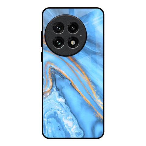 Vibrant Blue Marble OnePlus 13 Glass Back Cover Online