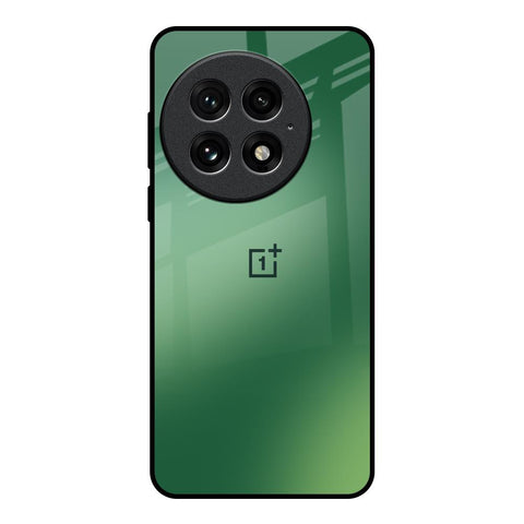 Green Grunge Texture OnePlus 13 Glass Back Cover Online