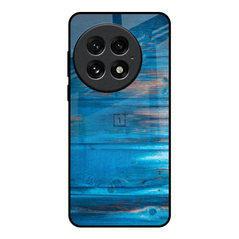 Patina Finish OnePlus 13 Glass Back Cover Online