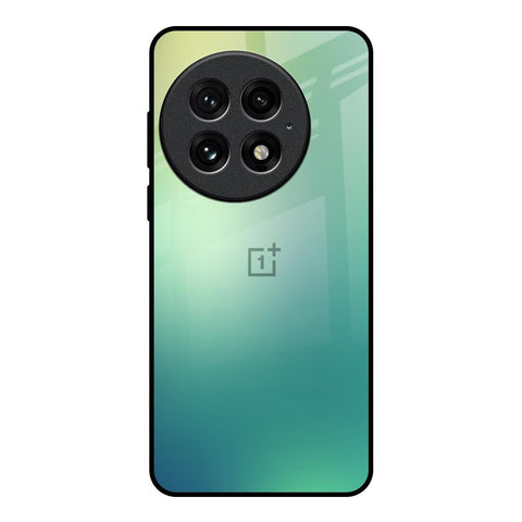 Dusty Green OnePlus 13 Glass Back Cover Online