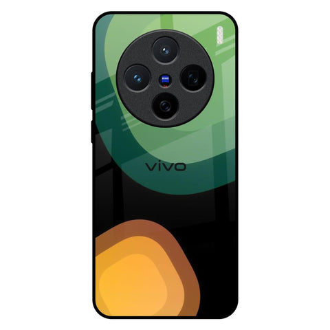 Grass N Sun Vivo X200 5G Glass Back Cover Online