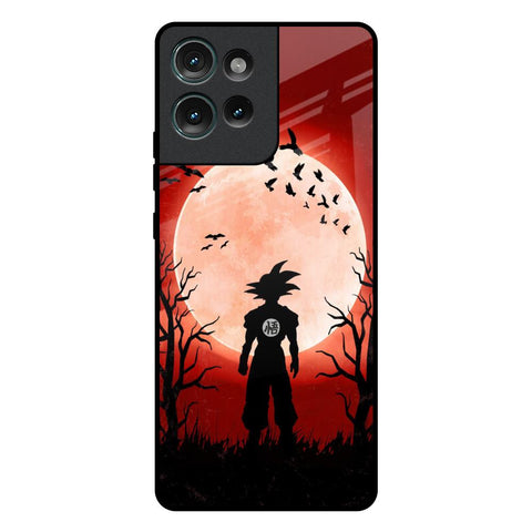 Winter Forest Motorola Edge 50 5G Glass Back Cover Online