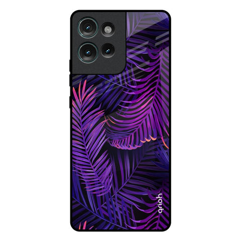 Plush Nature Motorola Edge 50 5G Glass Back Cover Online