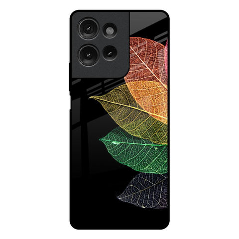 Colorful Leaves Motorola G75 5G Glass Back Cover Online