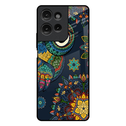 Owl Art Motorola G75 5G Glass Back Cover Online