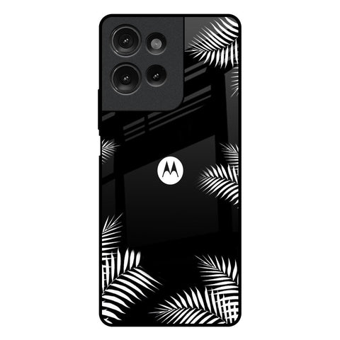 Zealand Fern Design Motorola G75 5G Glass Back Cover Online