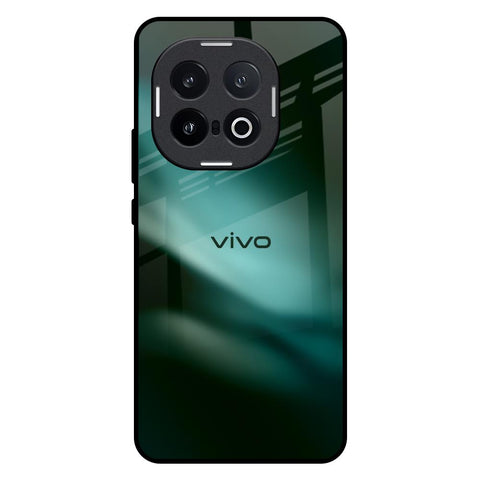 Northen Light IQOO 13 5G Glass Back Cover Online