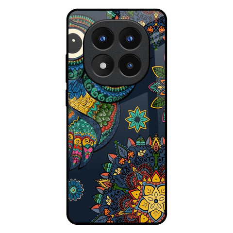 Owl Art Redmi Note 14 Pro Plus 5G Glass Back Cover Online