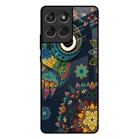 Owl Art Motorola Edge 60 Fusion 5G Glass Back Cover Online