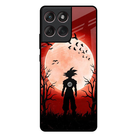 Winter Forest Motorola Edge 60 Fusion 5G Glass Back Cover Online