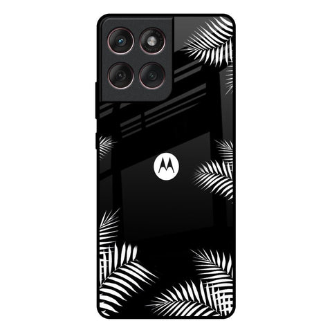 Zealand Fern Design Motorola Edge 60 Fusion 5G Glass Back Cover Online