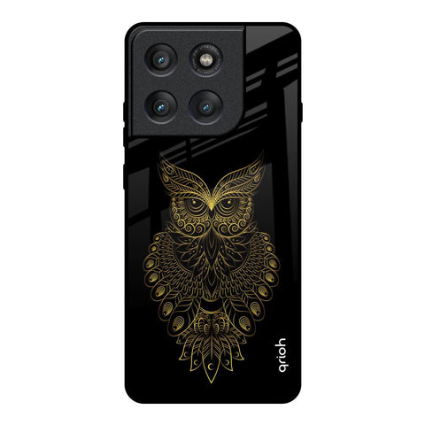 Golden Owl Motorola Edge 60 Pro Glass Back Cover Online