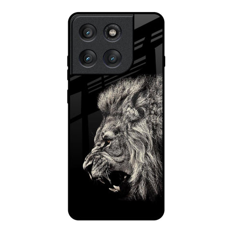Brave Lion Motorola Edge 60 Pro Glass Back Cover Online