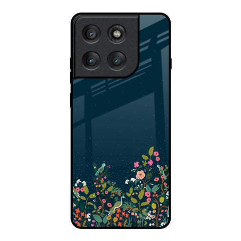 Small Garden Motorola Edge 60 Pro Glass Back Cover Online