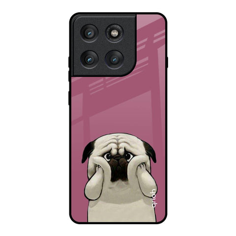 Funny Pug Face Motorola Edge 60 Pro Glass Back Cover Online