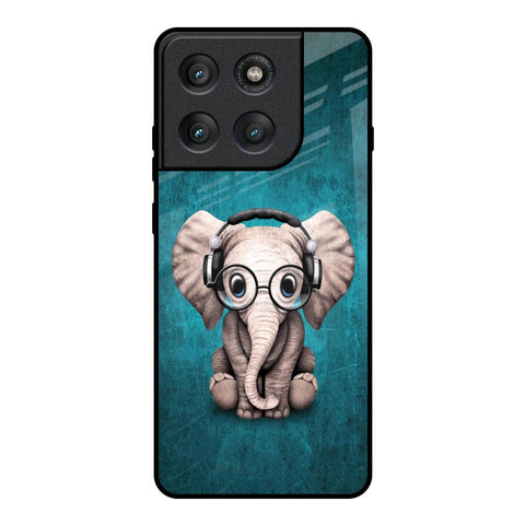 Adorable Baby Elephant Motorola Edge 60 Pro Glass Back Cover Online