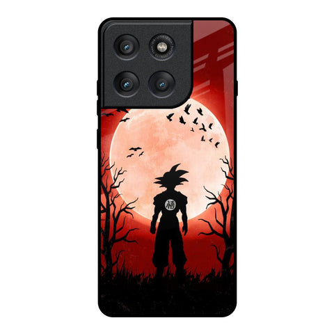 Winter Forest Motorola Edge 60 Pro Glass Back Cover Online