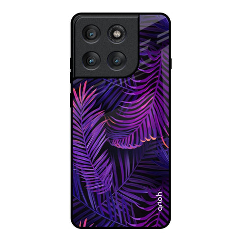 Plush Nature Motorola Edge 60 Pro Glass Back Cover Online