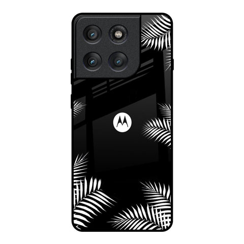 Zealand Fern Design Motorola Edge 60 Pro Glass Back Cover Online