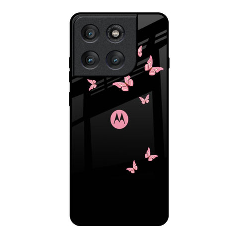 Fly Butterfly Motorola Edge 60 Pro Glass Back Cover Online