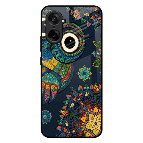 Owl Art OnePlus Nord CE5 5G Glass Back Cover Online