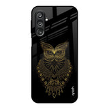 Golden Owl Samsung Galaxy F36 5G Glass Back Cover Online
