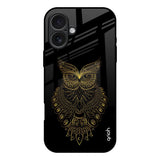 Golden Owl iPhone 17 Glass Back Cover Online