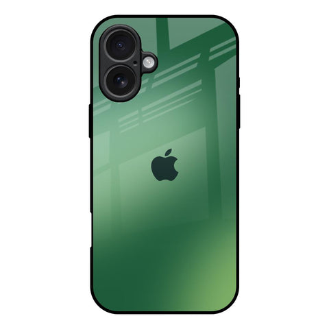 Green Grunge Texture iPhone 17 Glass Back Cover Online