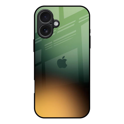 Blurry Forest iPhone 17 Glass Back Cover Online