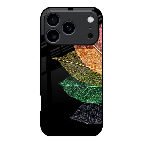 Colorful Leaves iPhone 17 Pro Glass Back Cover Online