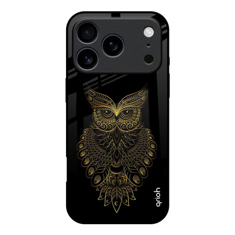 Golden Owl iPhone 17 Pro Glass Back Cover Online