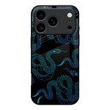 Serpentine iPhone 17 Pro Glass Back Cover Online