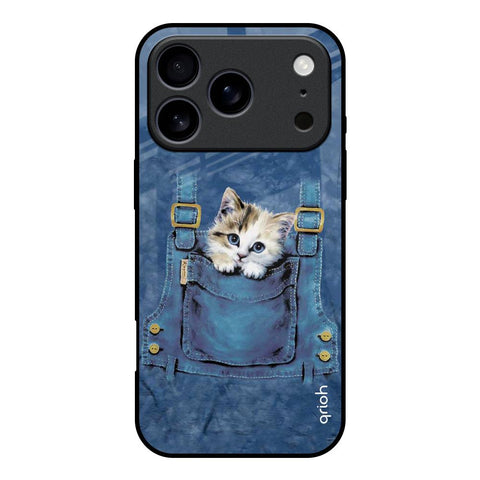 Kitty In Pocket iPhone 17 Pro Glass Back Cover Online
