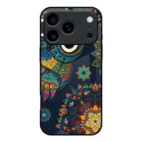 Owl Art iPhone 17 Pro Glass Back Cover Online