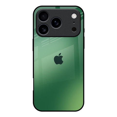 Green Grunge Texture iPhone 17 Pro Glass Back Cover Online