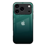 Palm Green iPhone 17 Pro Glass Back Cover Online
