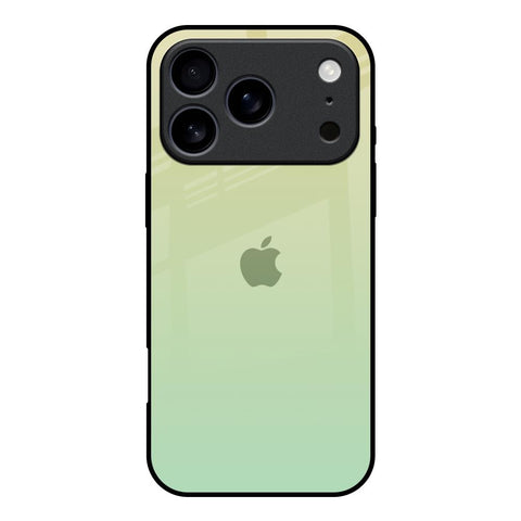 Mint Green Gradient iPhone 17 Pro Glass Back Cover Online