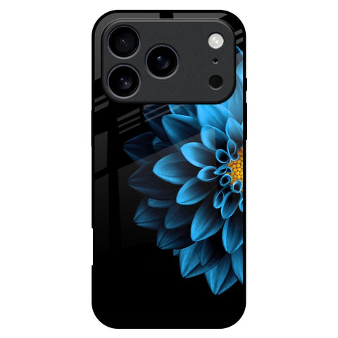 Half Blue Flower iPhone 17 Pro Max Glass Back Cover Online