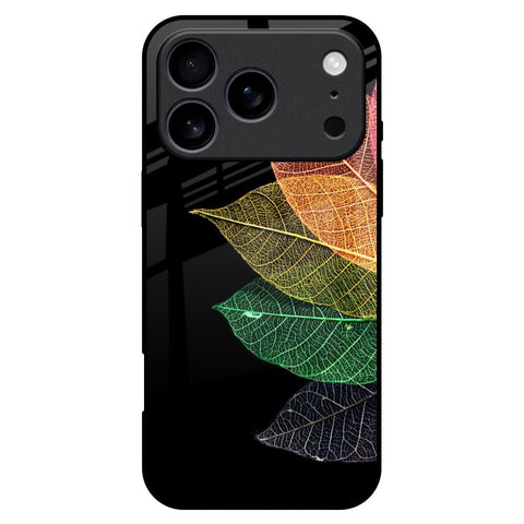 Colorful Leaves iPhone 17 Pro Max Glass Back Cover Online