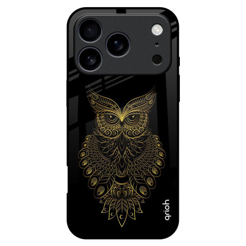 Golden Owl iPhone 17 Pro Max Glass Back Cover Online